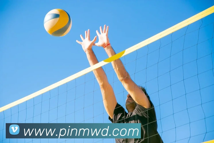 问鼎官网入口品牌故事