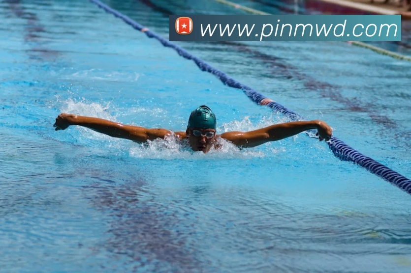 问鼎官网入口服务体系